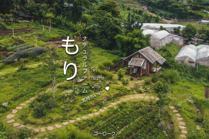 Farm Stay