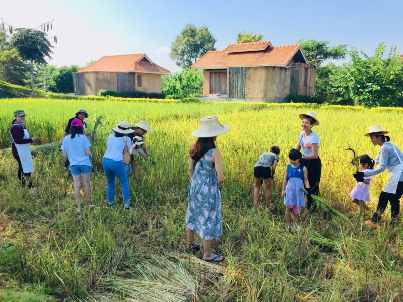 Farm Stay