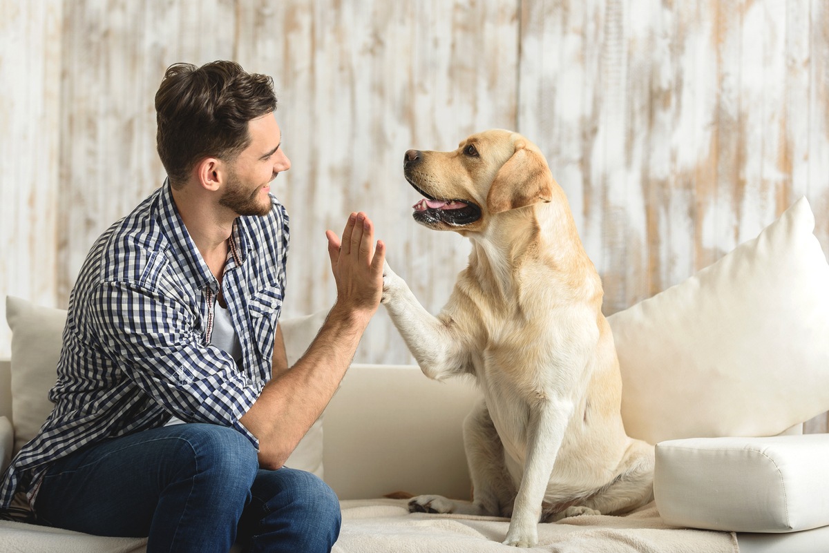 Training your puppy