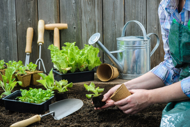 garden tools