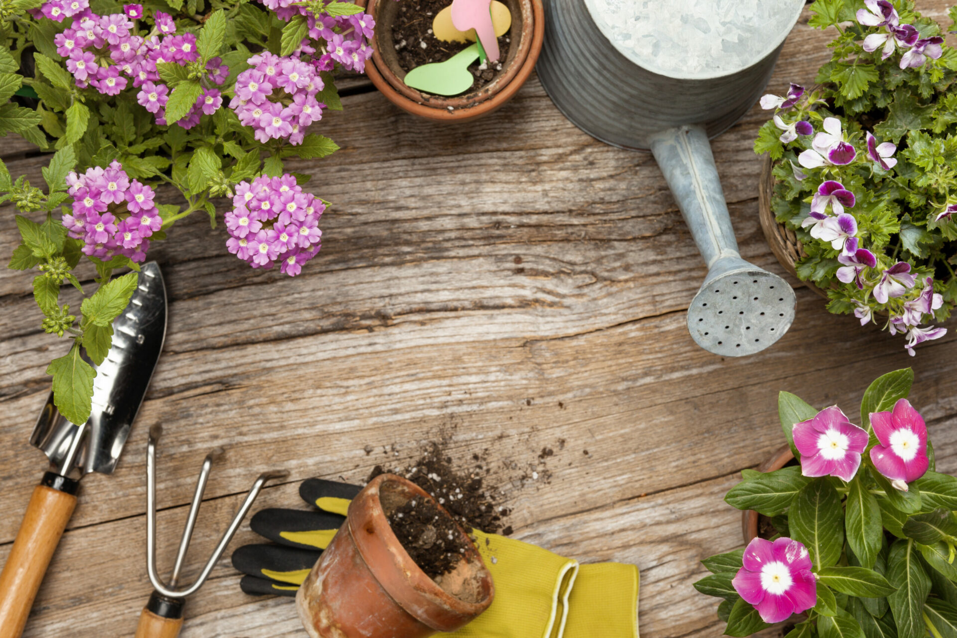 garden tools