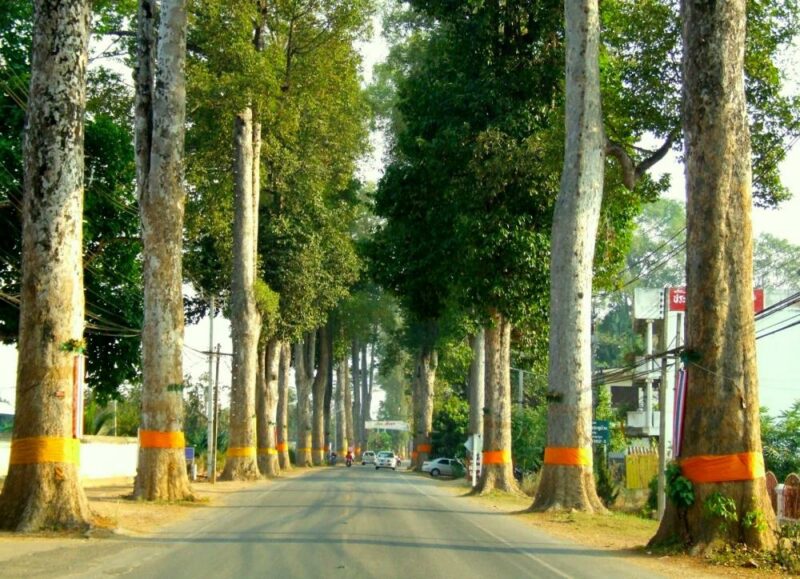 10-Scenic-Roads-Chiangmai.