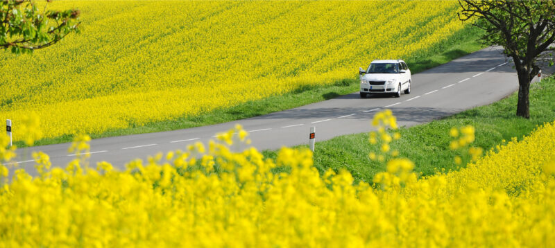 10 Scenic Roads Cover