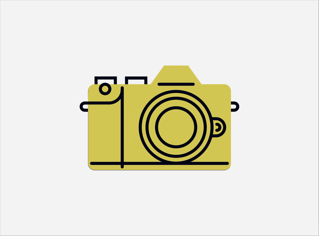Mirrorless Camera