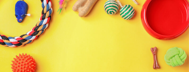 Cat toys