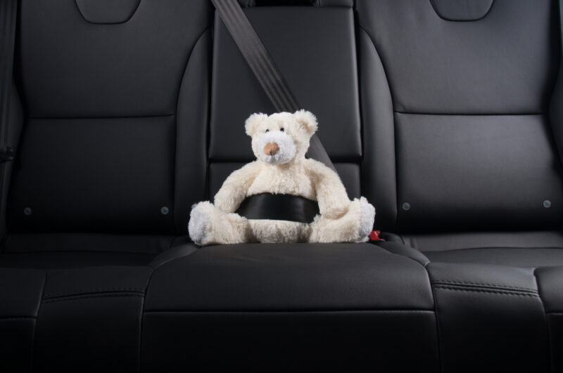 Car Seat Leather
