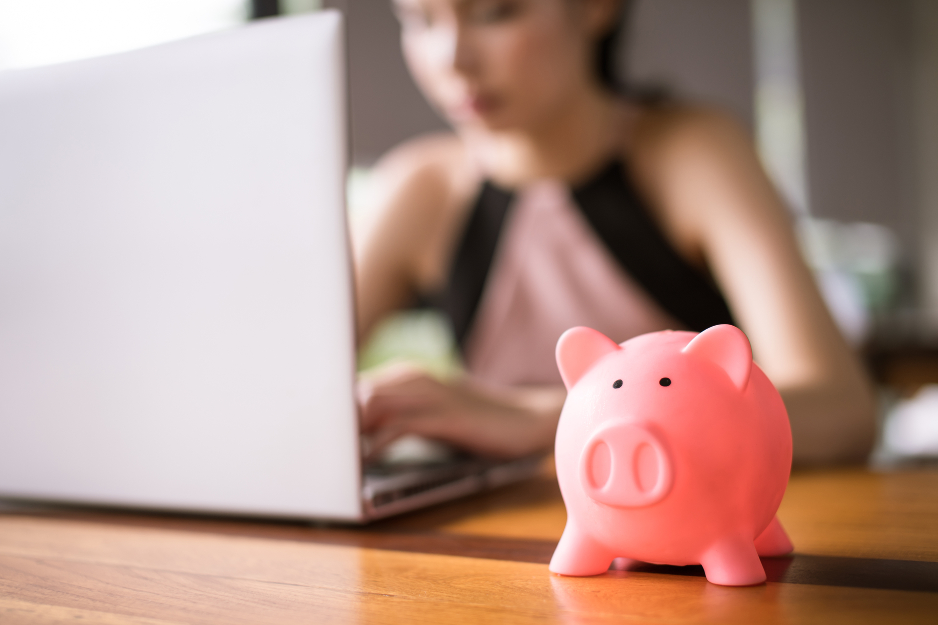 Girl With Computer And Piggie Bank