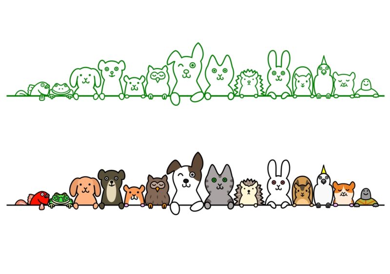 pets