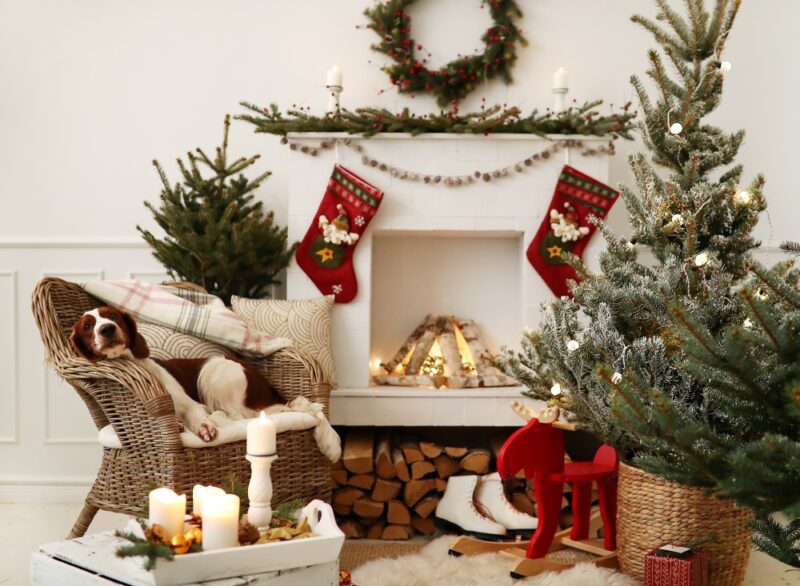 christmas living room