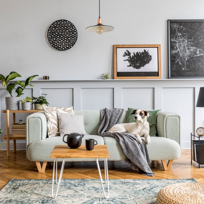 Home Decor