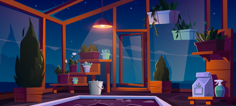 In-door plant benefits