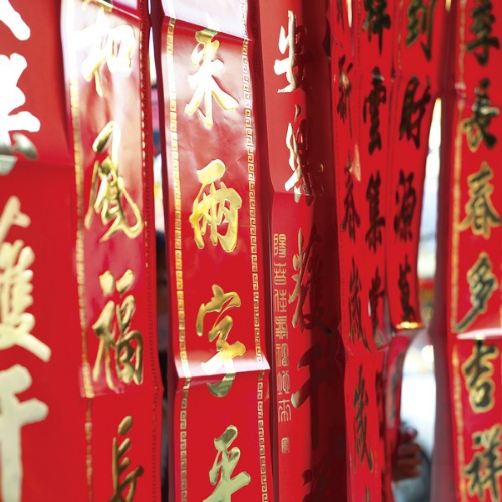chinese-NY2