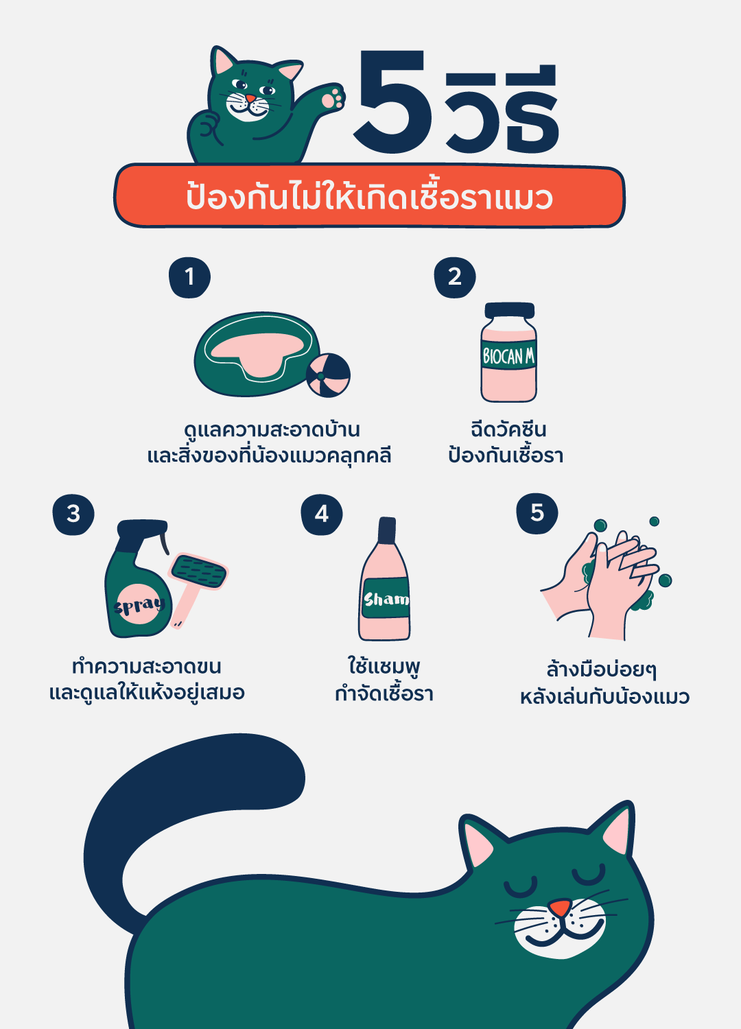 ้ป้องกันเชื้อราแมว