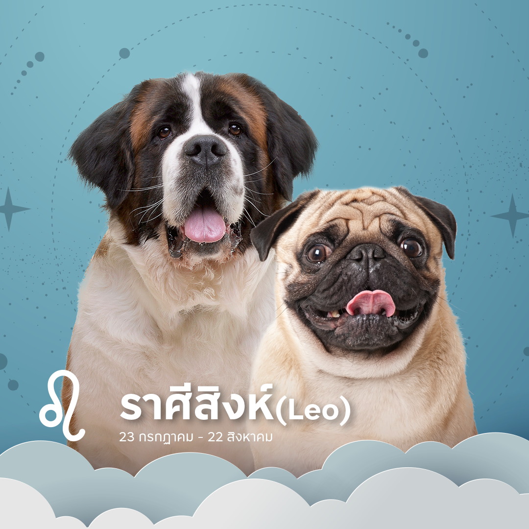 หมา ราศีสิงห์