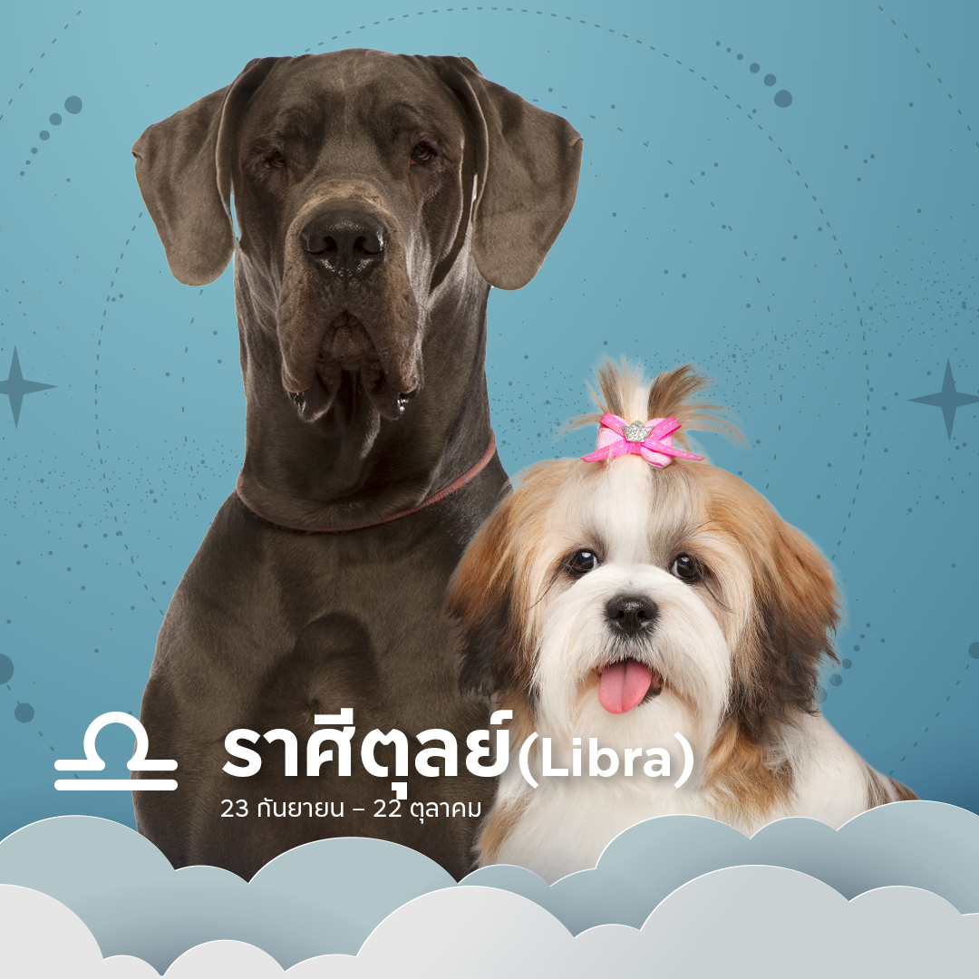 หมาราศีตุลย์