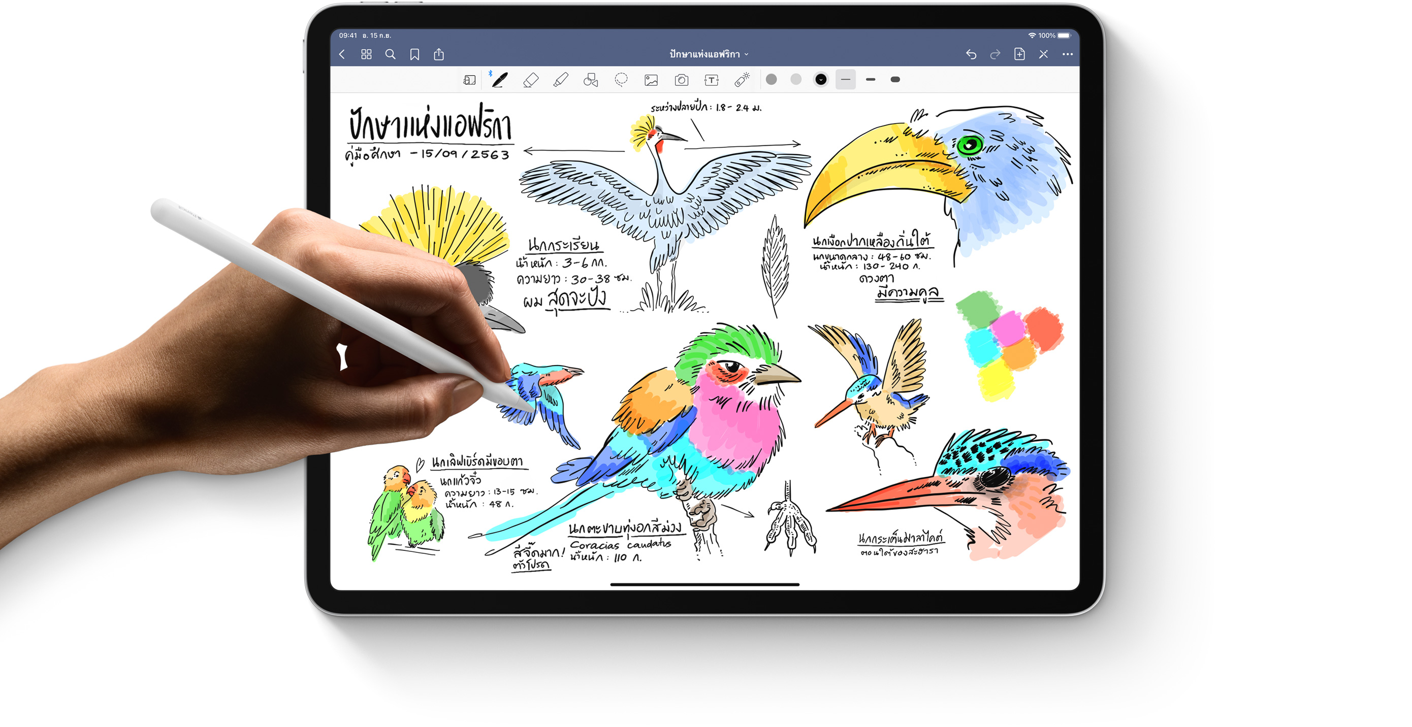 ipad air4 draw