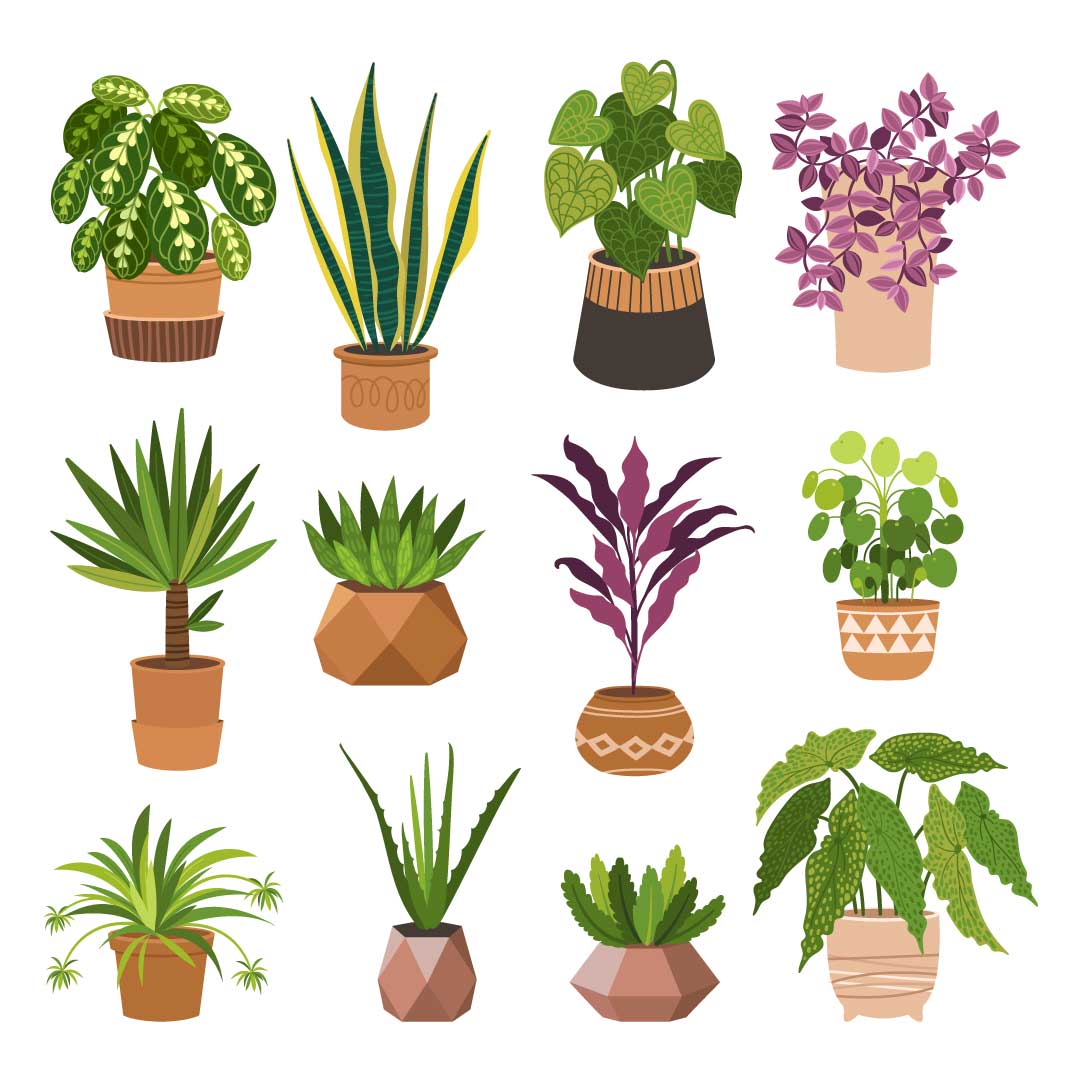 Plant Pot Cover