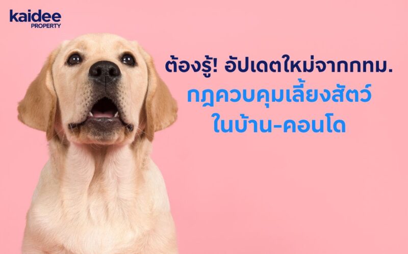 กฎควบคุมเลี้ยงสัตว์ในบ้านและคอนโด